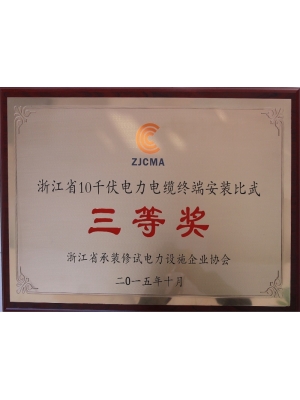 浙江省10千伏電力電纜終端安裝比武三等獎