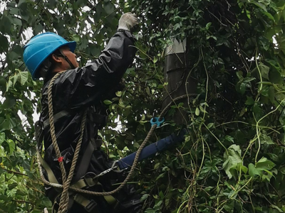 為戰(zhàn)臺(tái)風(fēng)保供電，創(chuàng)輝電氣這樣做