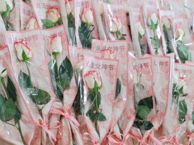 女神節(jié)快樂(lè)｜春日綻芳華，致敬她力量