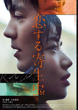 风起盐田海报
